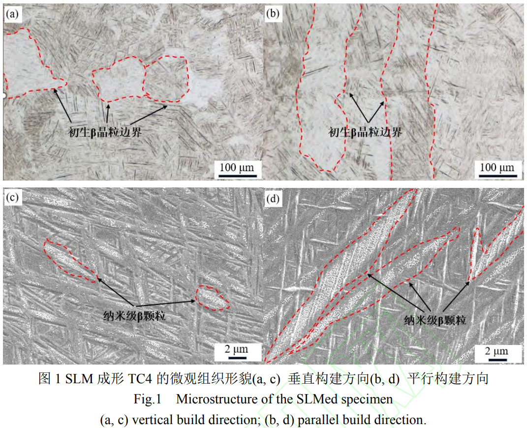 δ-3.jpg