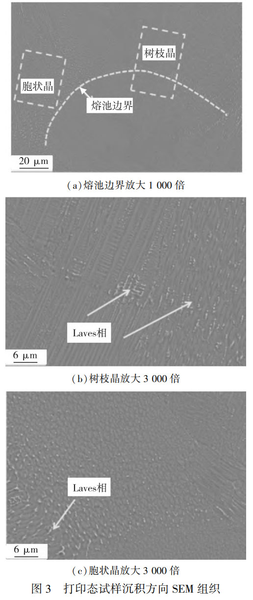 δ-2.jpg
