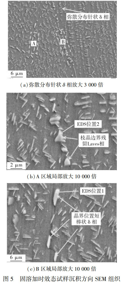 δ-5.jpg